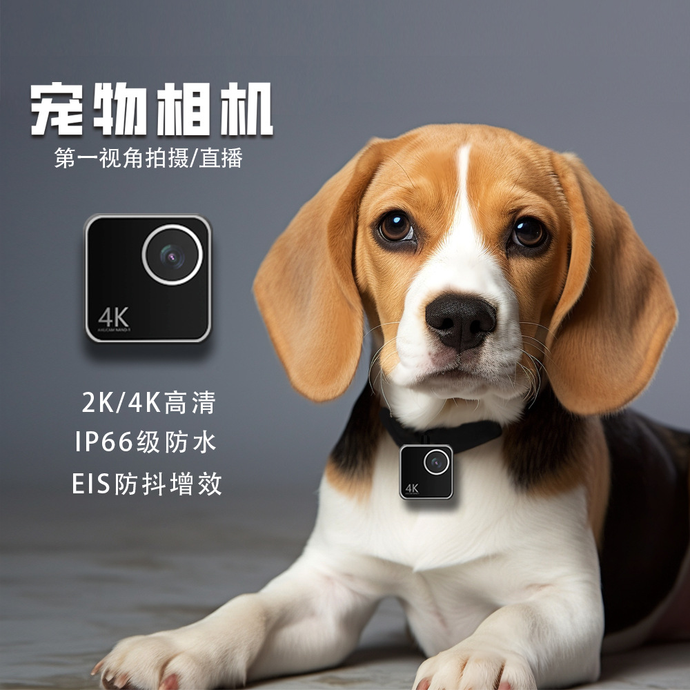 Cameras - Tierkamera für Katzen und Hunde, Smart-Halskamera