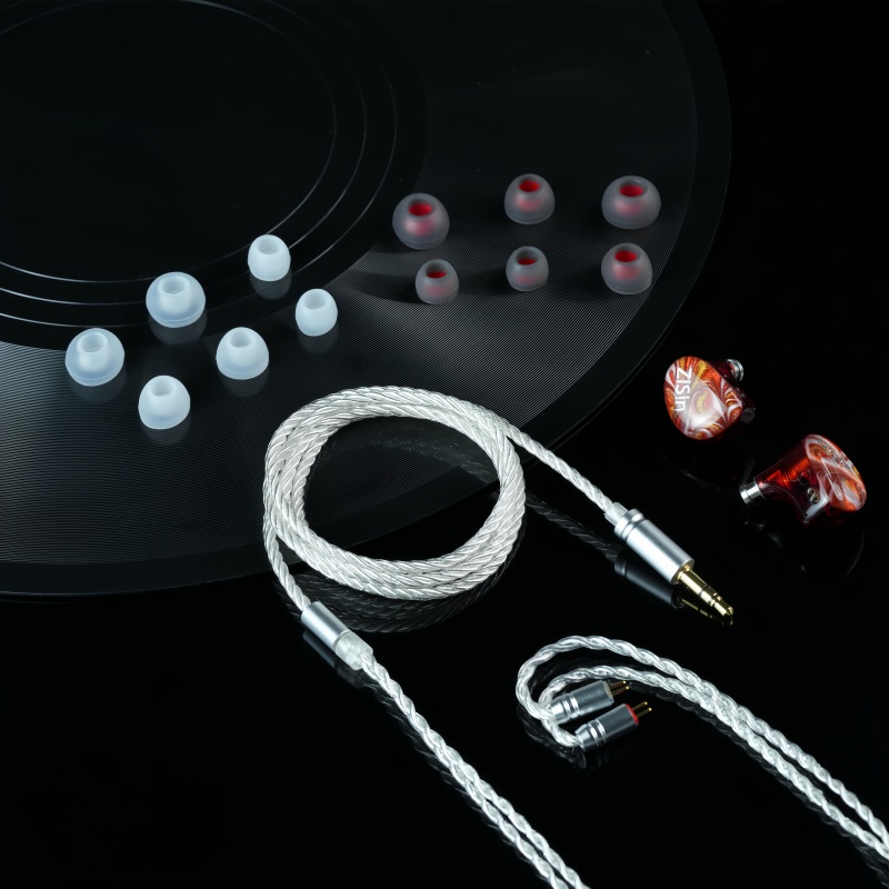 ZiSin 340 IEM 10mm 1DD Treiber – Planar Magnetic Iem Earphones Bewertung und Preis
