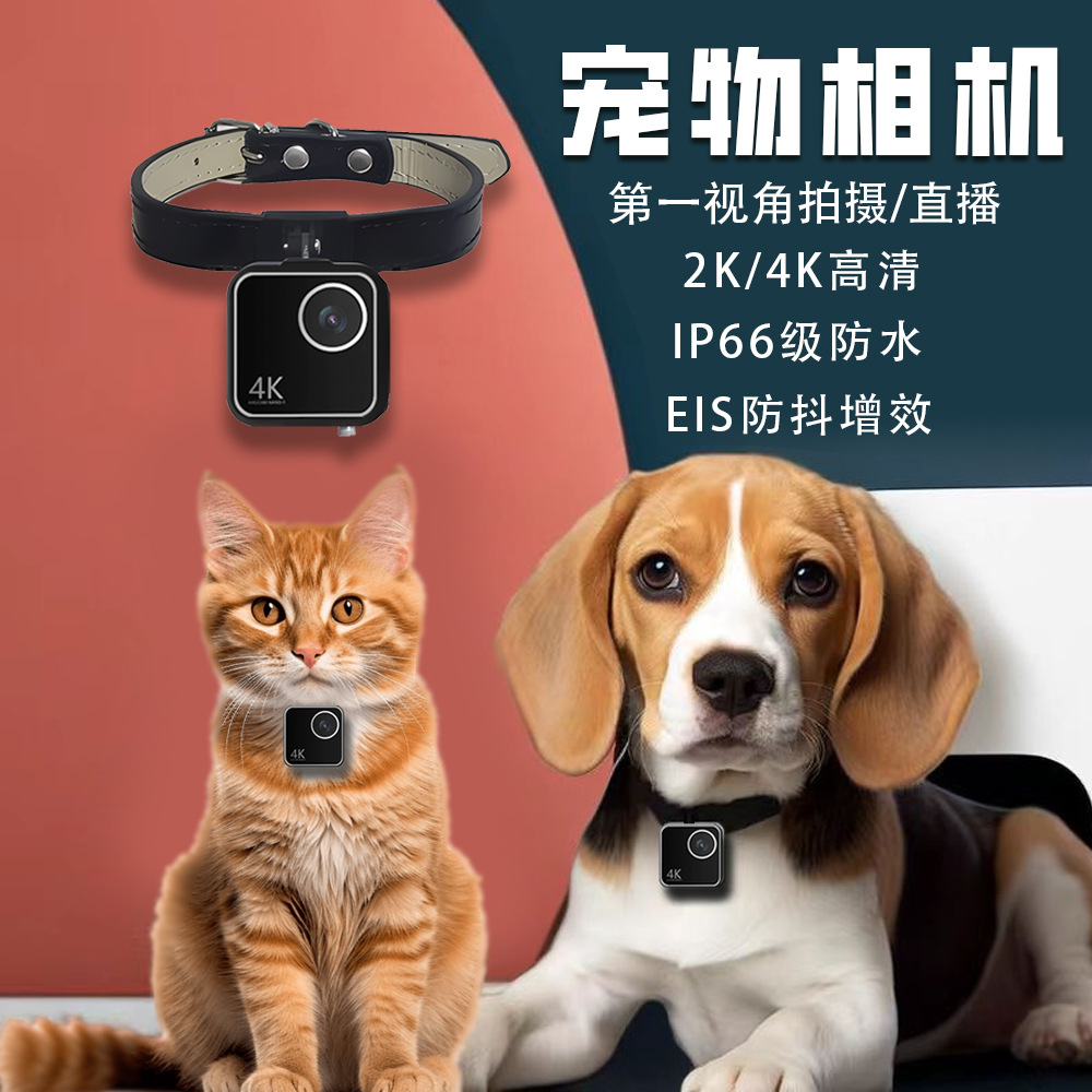 Tierkamera für Katzen und Hund – Cameras Bewertung und Preis
