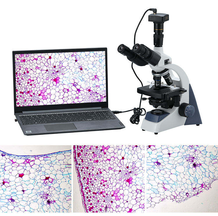 Digitales Biologisches Videomi – Cameras Bewertung und Preis